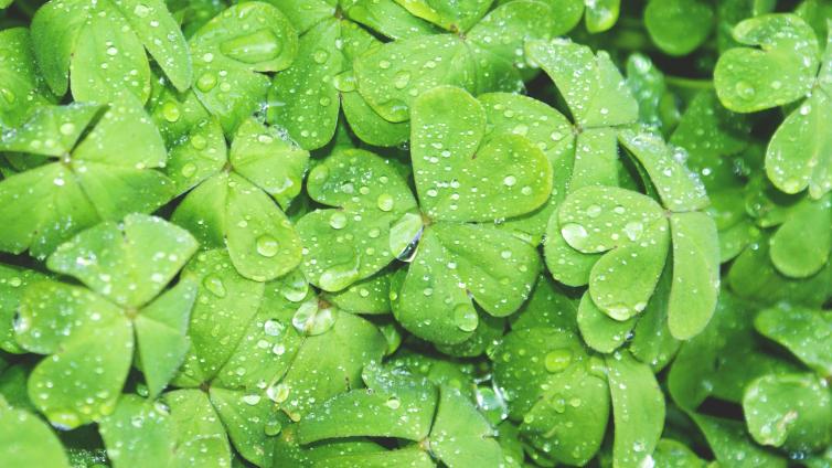 St. Patty's Day
